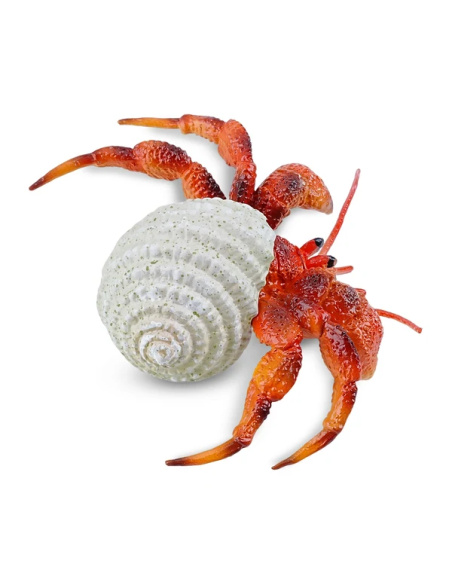 Bernard-l'ermite Toymany Small - Pas un vrai crabe