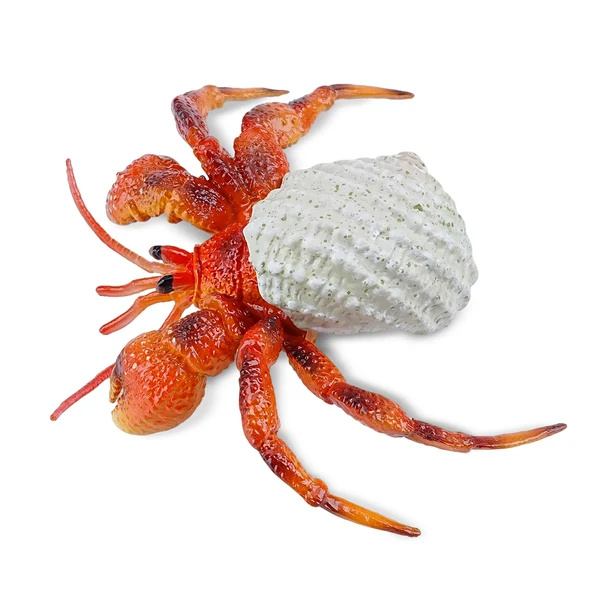 Bernard-l'ermite Toymany Small - Pas un vrai crabe
