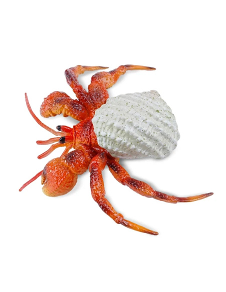 Bernard-l'ermite Toymany Small - Pas un vrai crabe