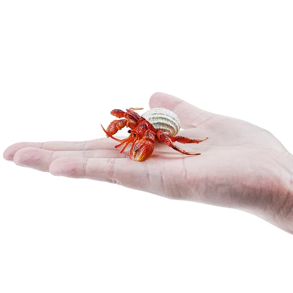 Bernard-l'ermite Toymany Small - Pas un vrai crabe