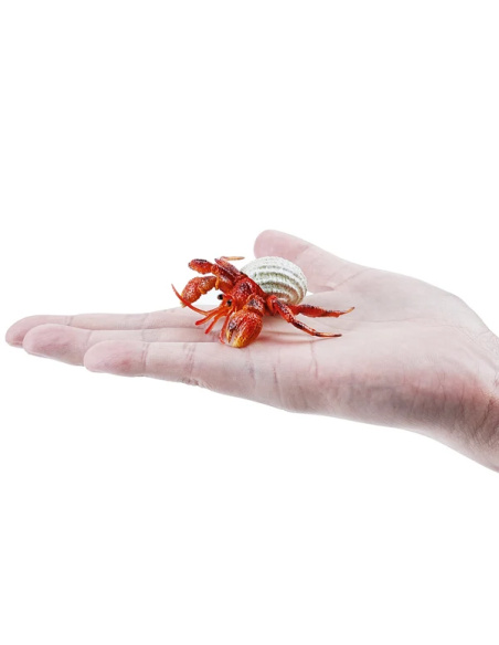 Bernard-l'ermite Toymany Small - Pas un vrai crabe