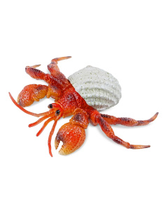 Bernard-l'ermite Toymany Small - Pas un vrai crabe