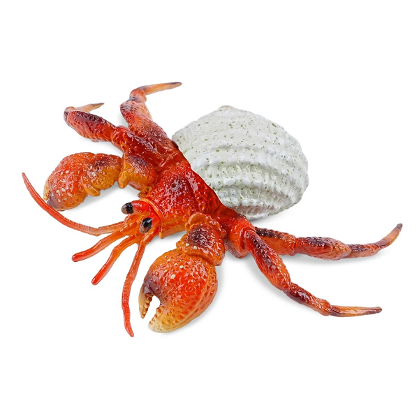 Bernard-l'ermite Toymany Small - Pas un vrai crabe