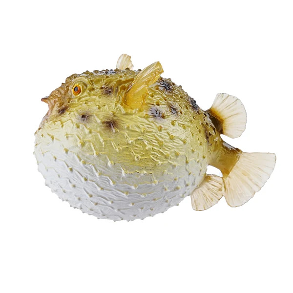 Figurine poisson-globe Toymany Small - Le poisson qui gonfle
