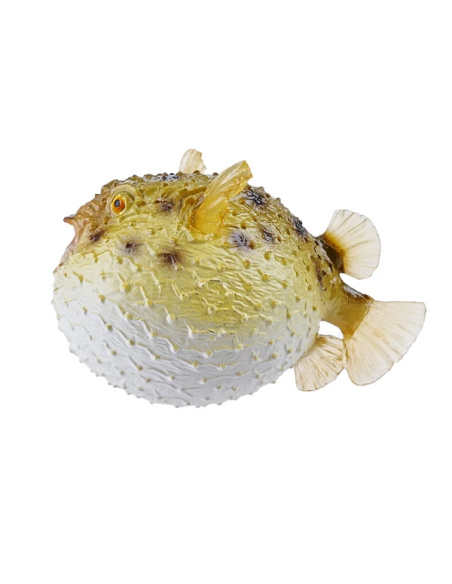 Figurine poisson-globe Toymany Small - Le poisson qui gonfle