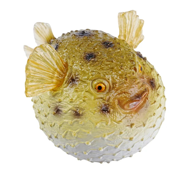 Figurine poisson-globe Toymany Small - Le poisson qui gonfle