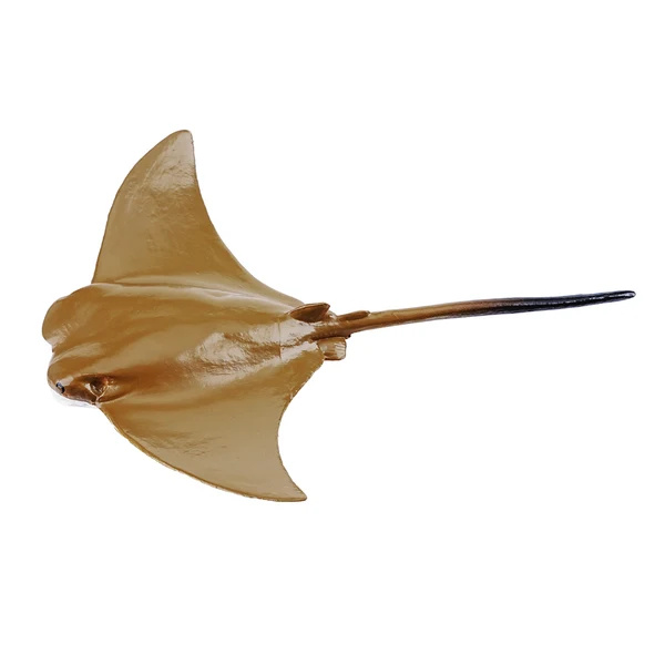 Mourine américaine Toymany Small - Figurine raie