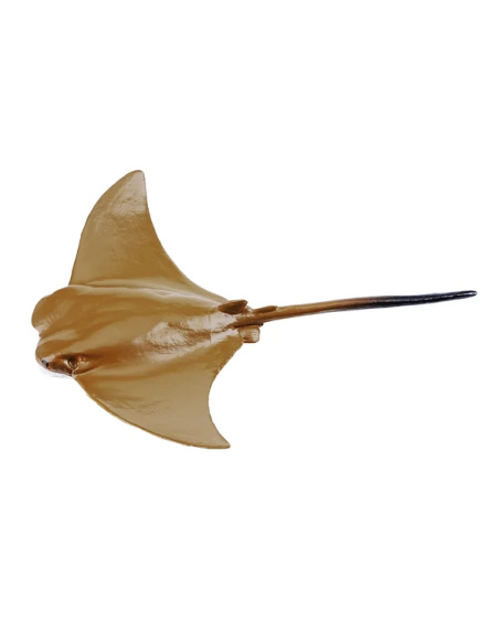 Mourine américaine Toymany Small - Figurine raie