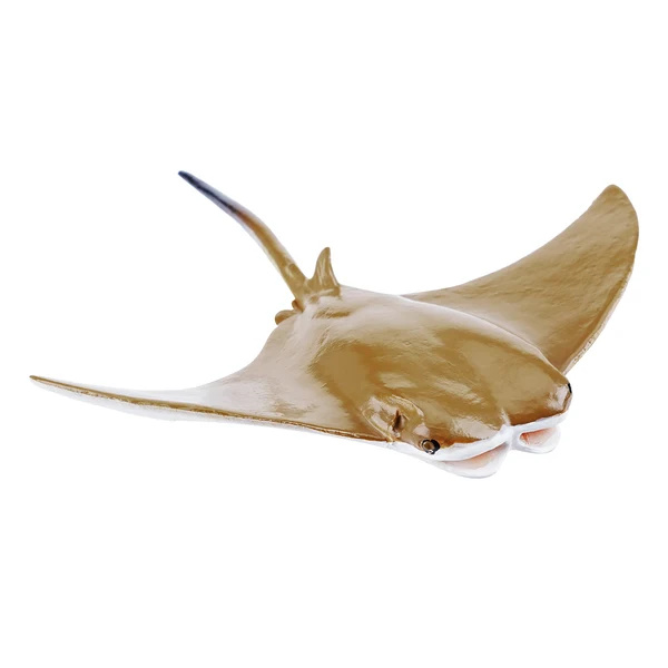 Mourine américaine Toymany Small - Figurine raie