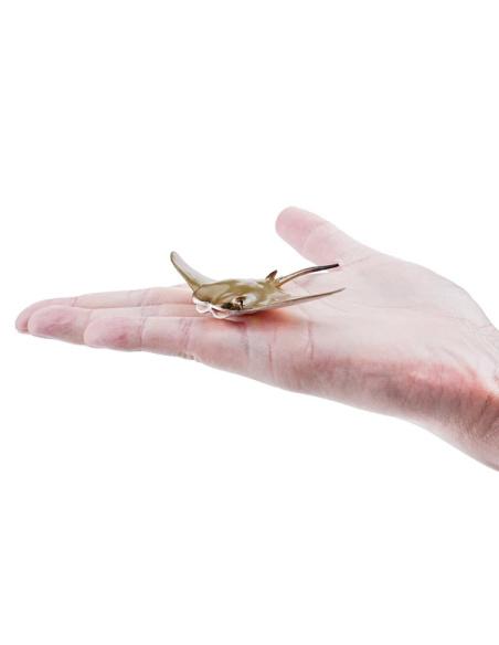 Mourine américaine Toymany Small - Figurine raie