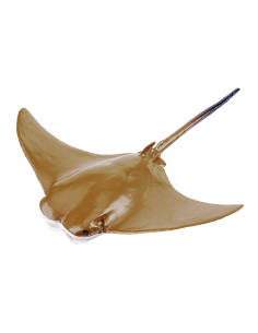 Mourine américaine Toymany Small - Figurine raie