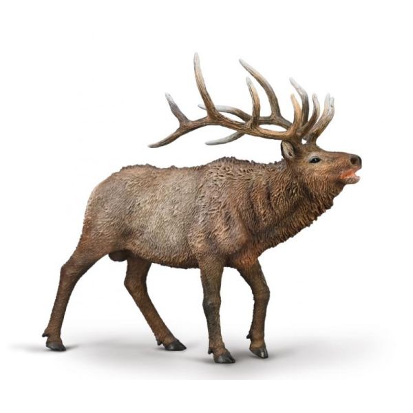 Cerf du Canada wapiti qui brame CollectA - Figurine