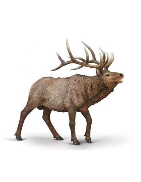 Cerf du Canada wapiti qui brame CollectA - Figurine