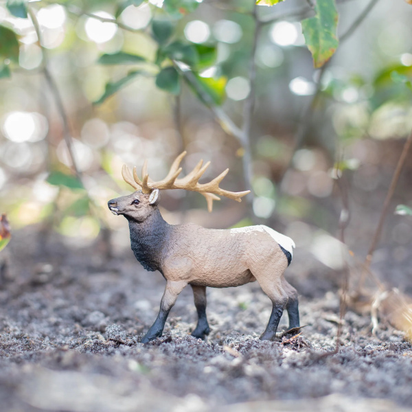 Cerf du Canada wapiti mâle Safari 180329 - Figurine
