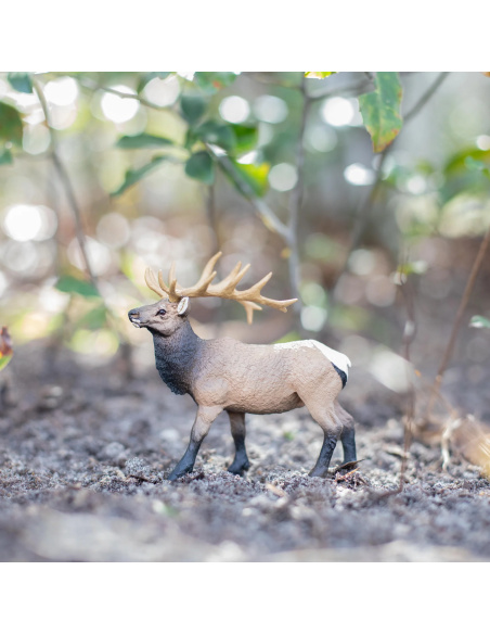 Cerf du Canada wapiti mâle Safari 180329 - Figurine