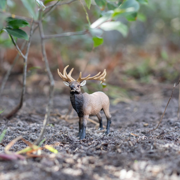 Cerf du Canada wapiti mâle Safari 180329 - Figurine