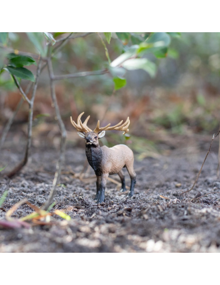 Cerf du Canada wapiti mâle Safari 180329 - Figurine