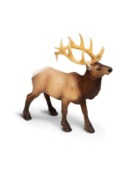 Cerf du Canada wapiti mâle Safari 180329 - Figurine