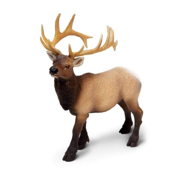 Cerf du Canada wapiti mâle Safari 180329 - Figurine