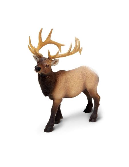 Cerf du Canada wapiti mâle Safari 180329 - Figurine