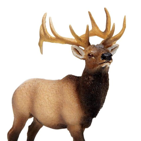 Cerf du Canada wapiti mâle Safari 180329 - Figurine