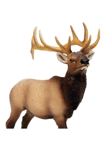 Cerf du Canada wapiti mâle Safari 180329 - Figurine
