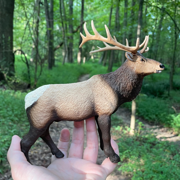 Grand cerf du Canada wapiti Safari 100303 - Figurine XL