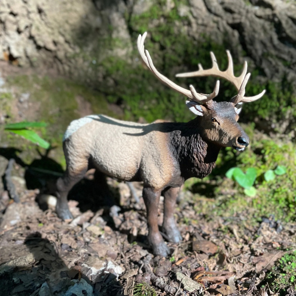 Grand cerf du Canada wapiti Safari 100303 - Figurine XL