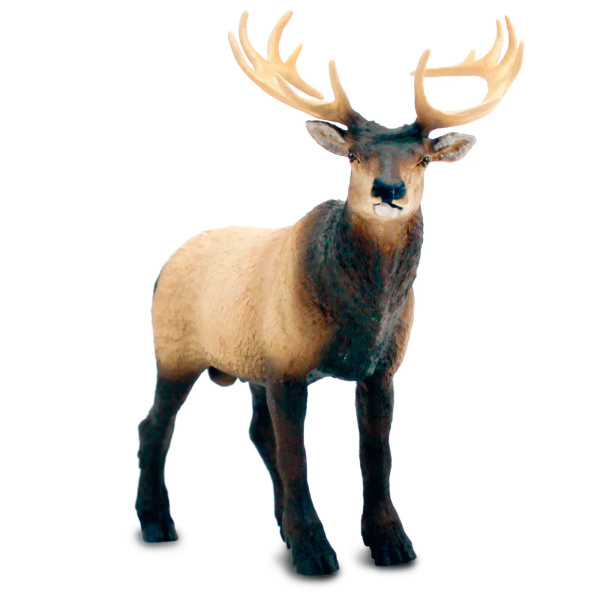 Grand cerf du Canada wapiti Safari 100303 - Figurine XL