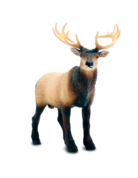 Grand cerf du Canada wapiti Safari 100303 - Figurine XL