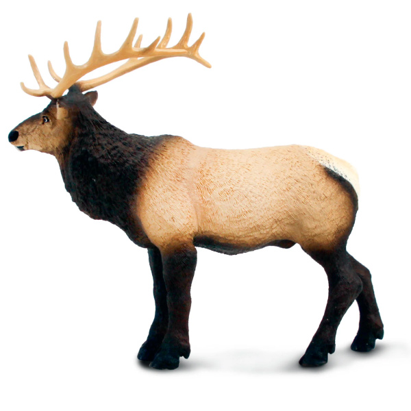 Grand cerf du Canada wapiti Safari 100303 - Figurine XL