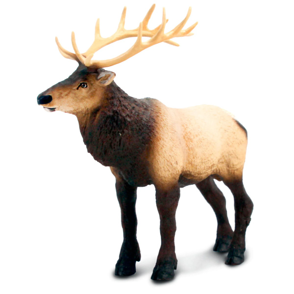 Grand cerf du Canada wapiti Safari 100303 - Figurine XL