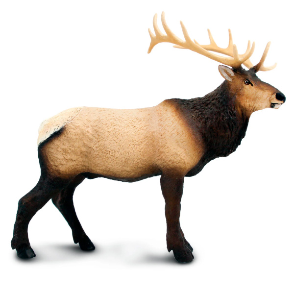 Grand cerf du Canada wapiti Safari 100303 - Figurine XL