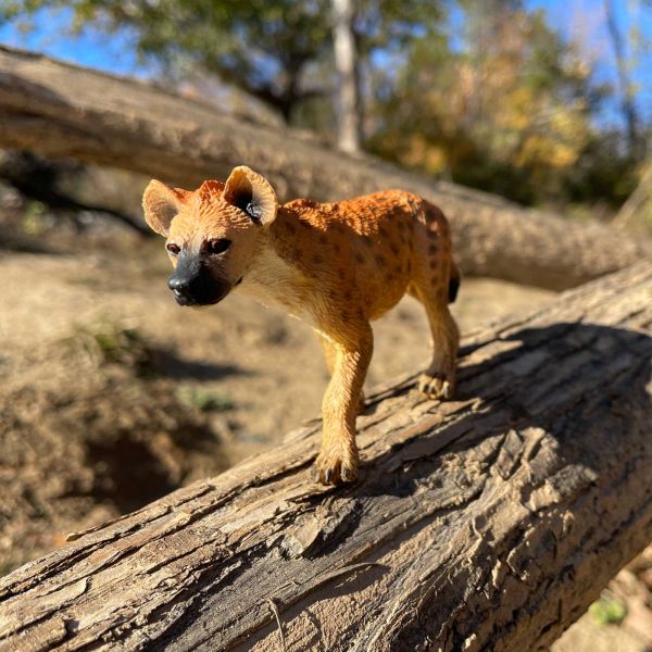 Figurine hyène tachetée Safari - Animal de la savane