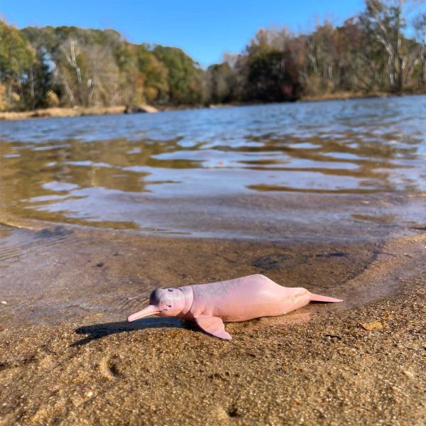Figurine dauphin rose de l'Amazone Safari - Le boto