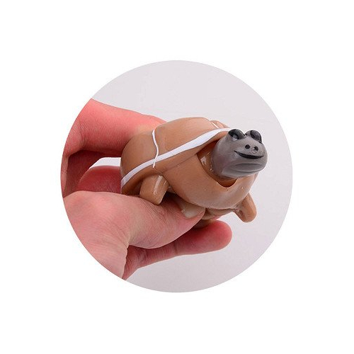 Tortue Squeeze Relax Pop - Jouet Sensoriel | Les Minis 2
