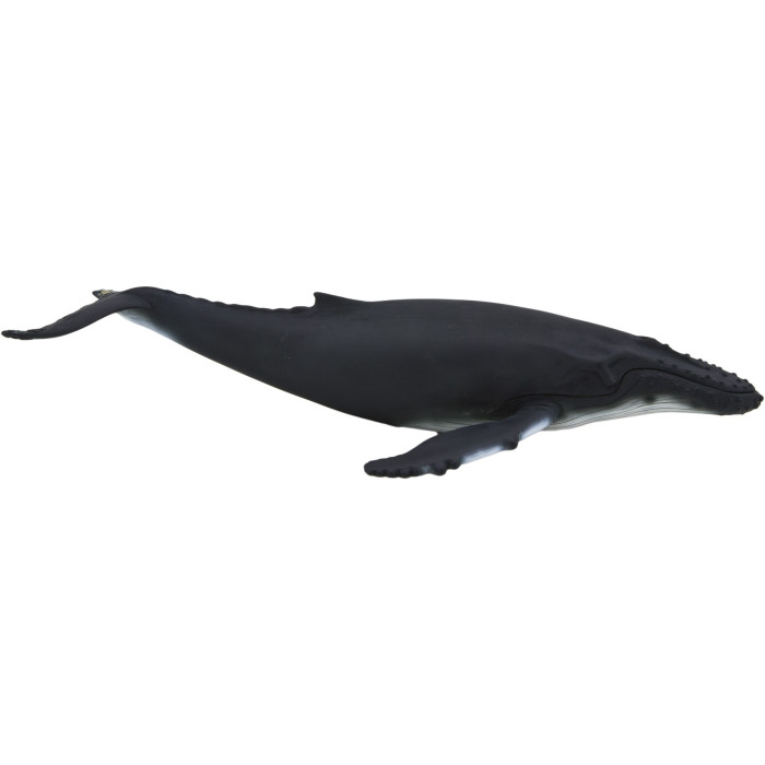 Figurine Baleine à bosse - Mojo 387119 | Matériel pédagogique | Enrichissement Montessori
