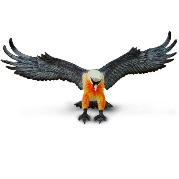 Figurine Vautour Barbu (Gypaetus barbatus) – Oiseaux Sauvages | Safari Ltd®