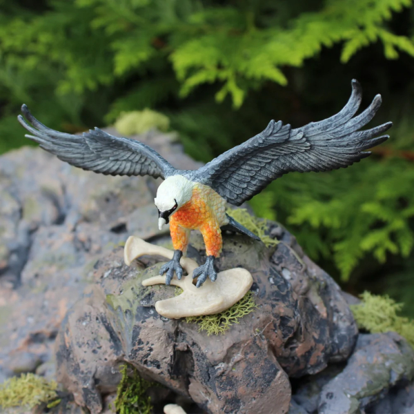 Figurine Vautour Barbu (Gypaetus barbatus) – Oiseaux Sauvages | Safari Ltd®