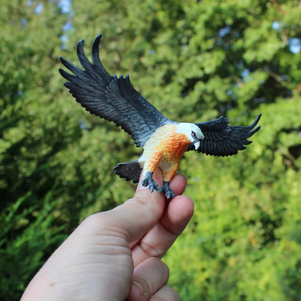 Figurine Vautour Barbu (Gypaetus barbatus) – Oiseaux Sauvages | Safari Ltd®