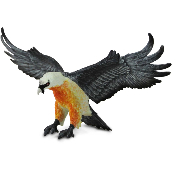 Figurine Vautour Barbu (Gypaetus barbatus) – Oiseaux Sauvages | Safari Ltd®