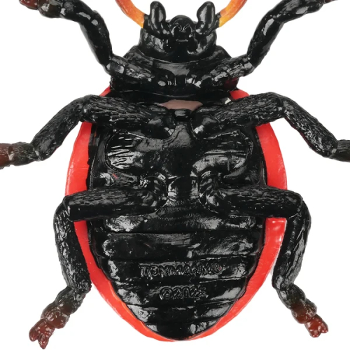 Figurine coccinelle à sept points Toymany - Insecte 2