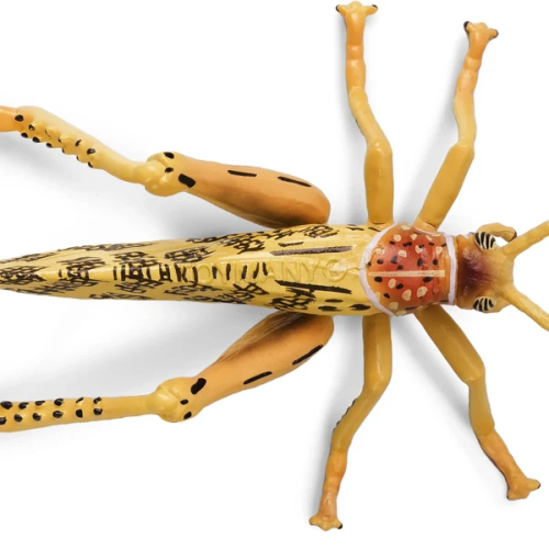 Figurine criquet pèlerin Toymany - Insecte à essaims 2