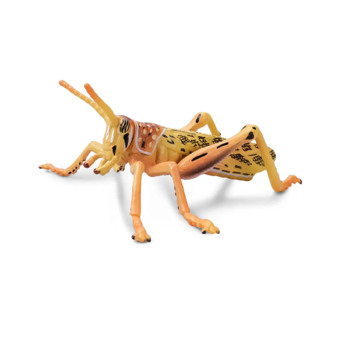Figurine criquet pèlerin Toymany - Insecte à essaims