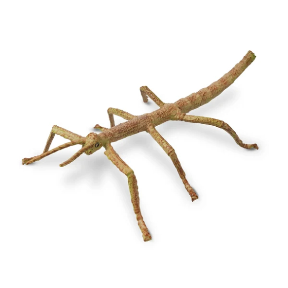 Figurine phasme Toymany - Maître du camouflage