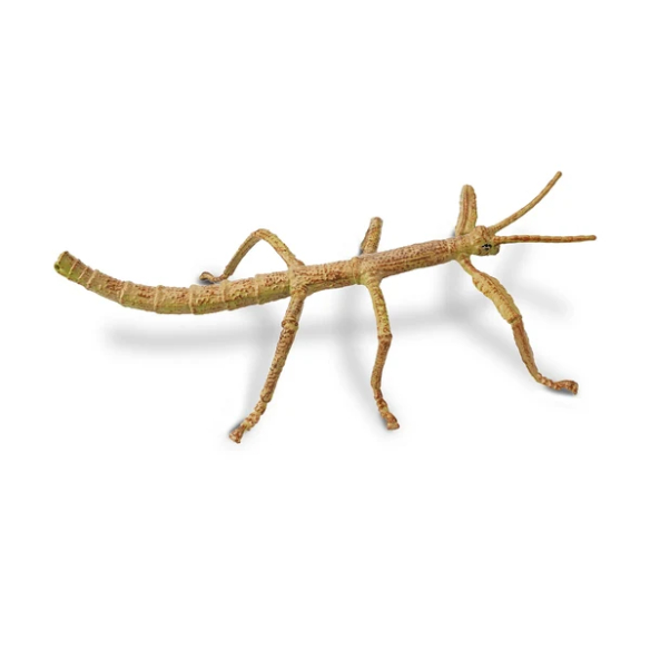 Figurine phasme Toymany - Maître du camouflage