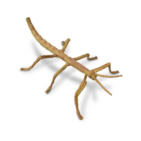 Figurine phasme Toymany - Maître du camouflage