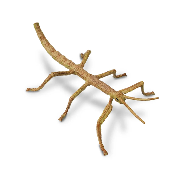 Figurine phasme Toymany - Maître du camouflage