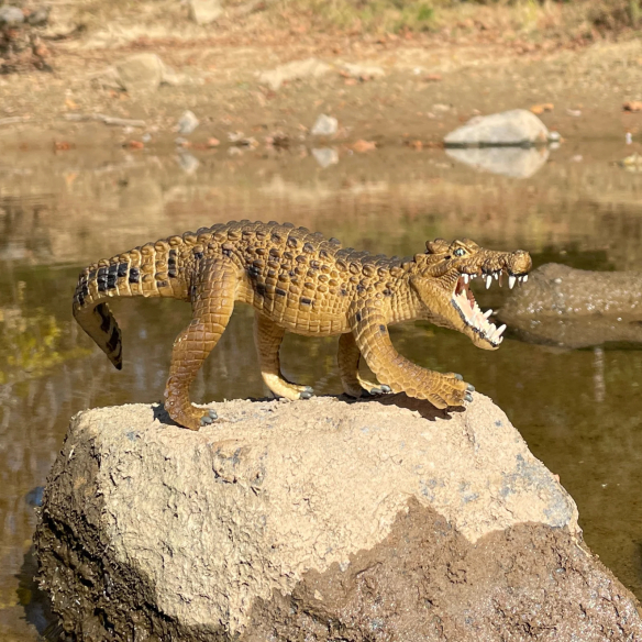 Figurine Kaprosuchus crocodile sanglier Safari Ltd 300829