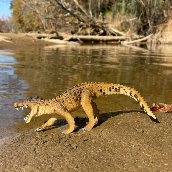 Figurine Kaprosuchus crocodile sanglier Safari Ltd 300829
